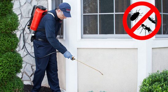 Bor Dezenfeksiyon böcek ilaçlama ve haşere kontrolü — ilaclama-tr.com
